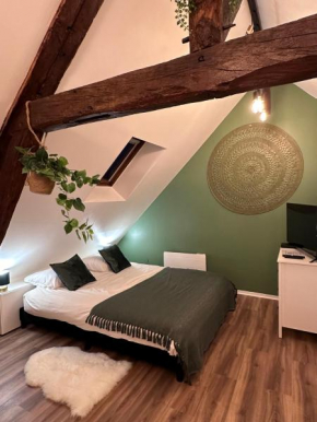 Le Nid Douillet - Hypercentre - Studio